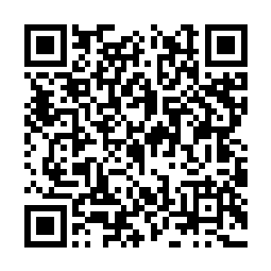 而那个区域正是之前巨魔星域修士们被轰杀的地方二维码生成