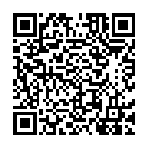 而那个就为了出一口气就活剥了自己儿子的女人则就此失踪二维码生成