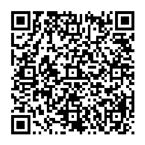 而那个巨石上的传送魔纹也是人为刻上去的……这已经说明了这一处秘地可能有人为建造的二维码生成
