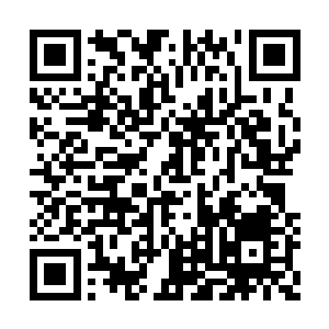 而那些冲过来的螃蟹和大龙虾瞬间被青火所吞噬二维码生成