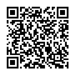 而那些有钱没地方花的大人物则会来此观看杀戮表演二维码生成