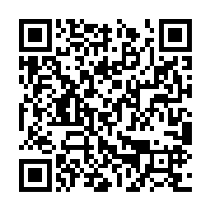 而那些膘肥体壮的全部背着柳条筐去山洞里背铜钱二维码生成