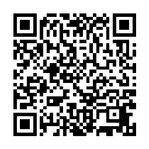 而那些龙族的长老则坚持了一会儿之后也落到了海里二维码生成