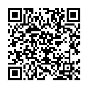 而那四大凶妖所赐给他的两件护身法宝也已经被他全部用掉二维码生成