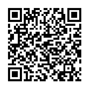 而那数万米的巨大黑洞之内俱是数不清的一个个黑袍虚像二维码生成