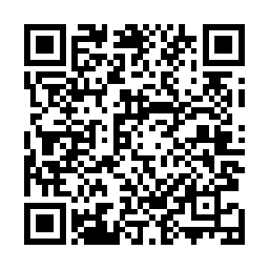 而金子则非常有眼色的叼起李锐的拖鞋放在了李锐的脚下二维码生成