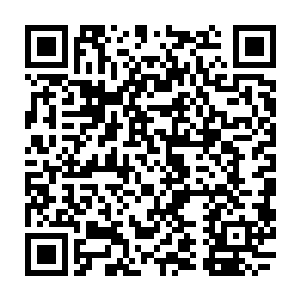 而金灵和火灵虽然其实挺不明白为什么和他们一般高的流墨墨会露出那种表情二维码生成