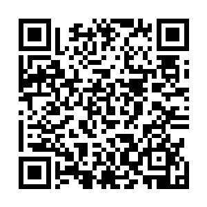 而阿米则一套七星拳朝着朝后着面具男子的小腹轰了过去二维码生成