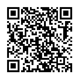 而高额票房分红到手之后则让他的片酬达到五千万二维码生成