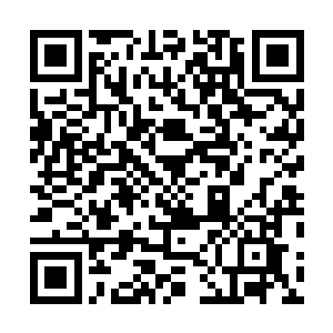 而龙傲天看了一眼小金之后则就不再理会一副傻样的小金二维码生成