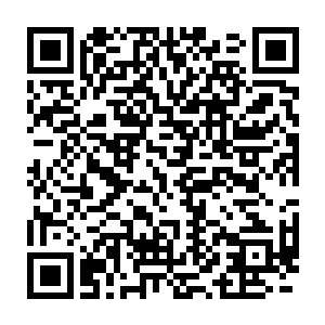 而龙傲雪则选择了帮助他的哥哥龙傲天对付厚土教派的准圣子戈登二维码生成