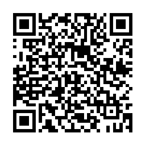 聂云顿时感到达到圆满级别的灵魂一下出现了裂痕二维码生成