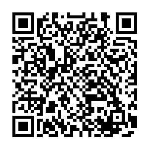 聂离将黑暗法则之力和光明法则之力两种力量封印进龙魄之石锻造的容器里面二维码生成