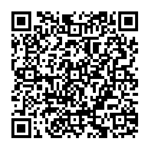 联盟机甲学院是严禁学生开车进校门的……可是有些人不管在哪里都有这样的特权二维码生成
