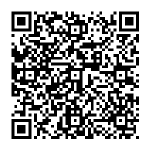 聚拢在太极之心周围在以往不得其门而入的身体戾气以及暴怒之气瞬间将子核占满二维码生成