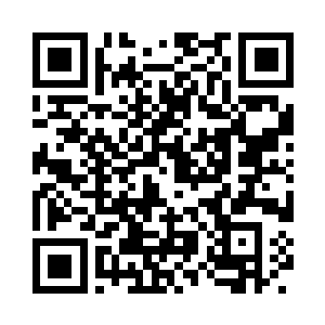 肖菲和马科斯带领着团队全力进行攻克二维码生成