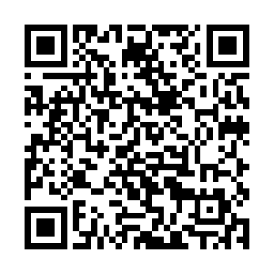 肯定会立刻就要遭到二十多架武装直升机的正面轰击二维码生成