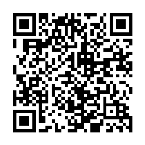 背后的那些模糊的霓虹灯衬托得她纯净的脸上多了几分妩媚二维码生成