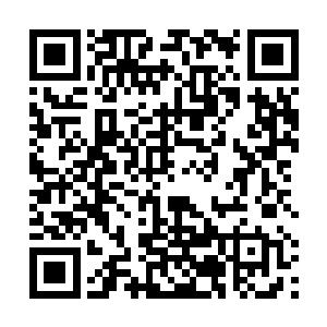 胖子和瘦子本来都已经用胳膊把自己的上半身撑了起来二维码生成