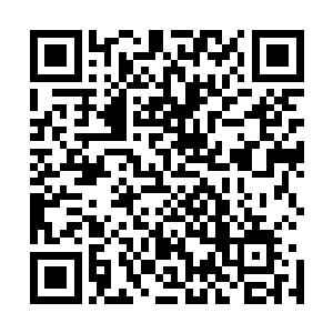 胡人的血脉就会促使他像看狗一样的居高临下的看着唐明皇二维码生成