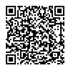 胡友林用从华国带过来的土制仿五四手枪打伤了美国海关的稽查人员二维码生成