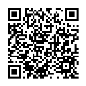 能不能把6月份的保底月票投给猫猫当结婚礼物呢二维码生成