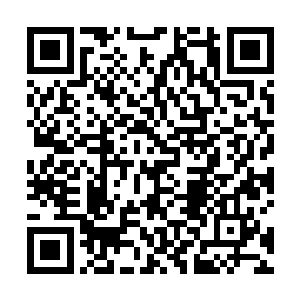 能不能破例的招收一名……嗯……提前成为念动士的人二维码生成