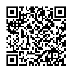 能参加人类的首次星际开拓真是我们最幸运的事二维码生成