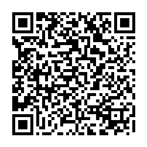 能在正式比赛中用薇恩稳压女枪和韦鲁斯的选手除了imp我还真的没见过第二个二维码生成
