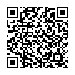 能够凭本事考入这里的人都是来自全国各地的精英子弟二维码生成