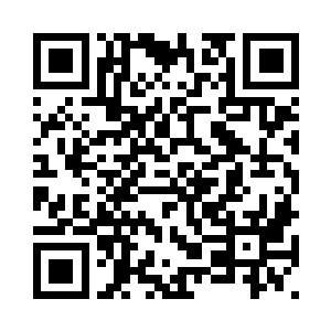 能够在这鳄蛟岛上巡行的飞行法宝二维码生成