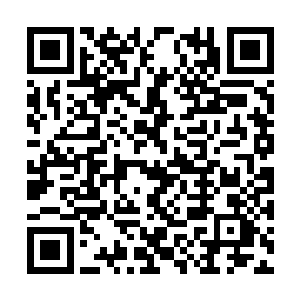 能够彻彻底底地让观众哇出来的画面真的很不容易二维码生成