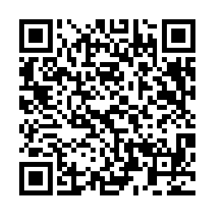 能够换回他们兄弟之间宛若在母体时候那般彼此的坦诚相待二维码生成