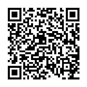 能够确定是中高层人物的人竟然杀掉了足有八十三人之多二维码生成