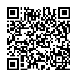 能够贯穿任何一界的建木是不是已经不能够算作仙宝了二维码生成