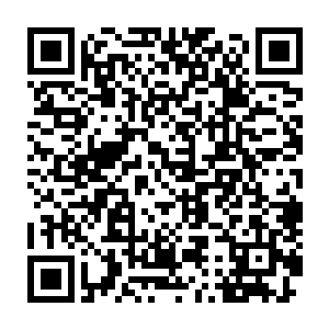 能够跻身这份榜单的所有人都是在娱乐圈里能够拥有一片天的人物二维码生成