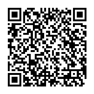 能有实力挑战不堕修为的他显然比自己的道满巅峰境界修为厉害太多了二维码生成