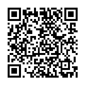 能给爸爸和你的小男朋友一个单独聊天的机会吗二维码生成