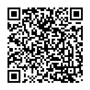能选吧……我看新闻图片里招聘会现场都是好多家企业在一块儿招聘二维码生成