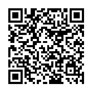 脑后一轮明净完满的圆光仿佛蕴藏着所有道理所有可能二维码生成