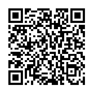 脑子里马上反应出铁笛道人引动一身元炁自爆的画面二维码生成