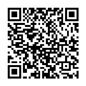 脑海中倏然地闪过着陆礼放那天在医院里对她说的话二维码生成