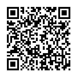 脑神经的崩溃让人只知道伤害其他周遭的生命体二维码生成