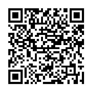 脑细胞就像是爆米花和炒豆子一样噼噼啪啪的炸响二维码生成