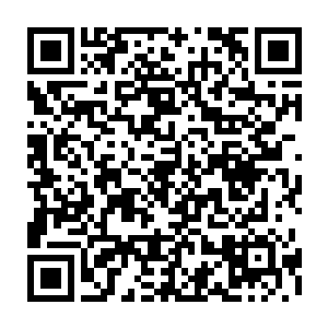 脸上是血妖姬们几乎都忘了应该在那上面是什么样的灵动惊愕不解的表情二维码生成