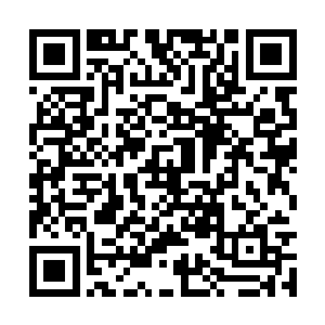 脸上的惊讶可是一点也不比秦方少到哪里去的……二维码生成