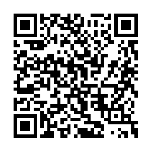 脸上顿时也是不约而同的露出了一抹兴奋的神情二维码生成