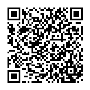 腕带中那强制性的血红色新闻都一直伴随着巨大光幕浮现到他们眼前二维码生成