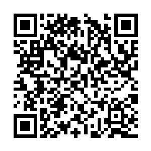 腿上的大小伤口一一擦拭干净并且涂抹药物包扎好二维码生成