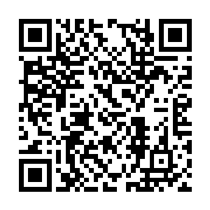 自从上次到神化阶段又被打回原形从头开始修炼后二维码生成